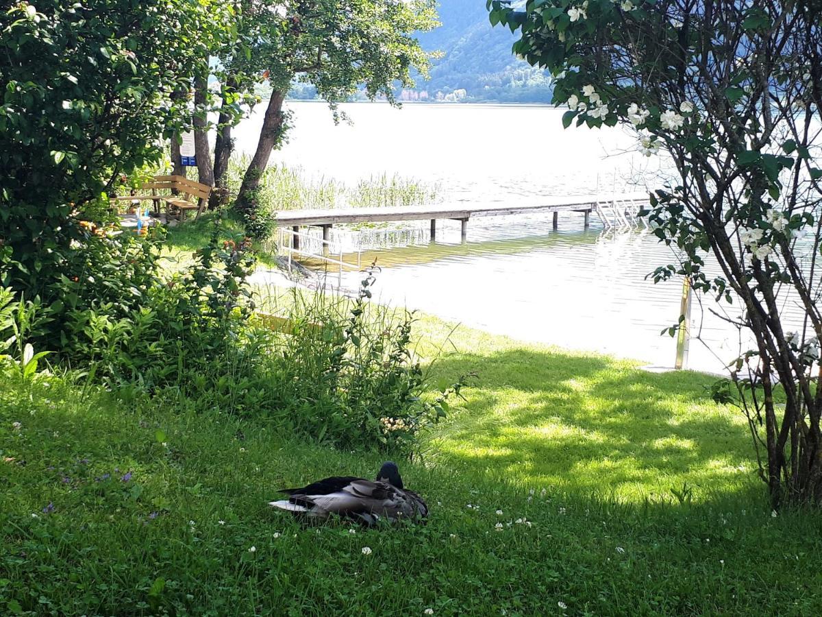 Maren Seeblick Appartement Haus Haensel&Gretel Direkt Am Ossiacher See Mit Hallenbad Stiegl 外观 照片